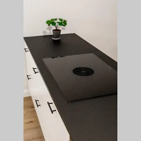 公寓 Scandinavian 赫尔辛基